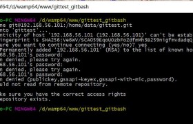 Linux部署搭建Git服务(图文教程)